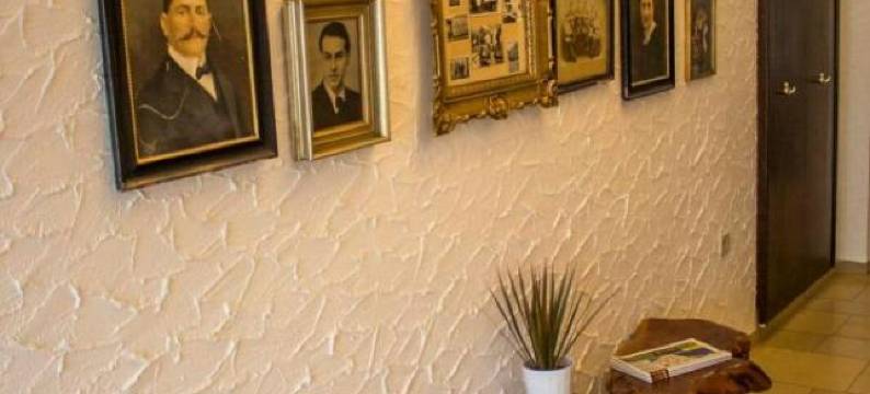 拉菲斯汀霍夫酒店(Raffelsteiner Hof "Garni")图片