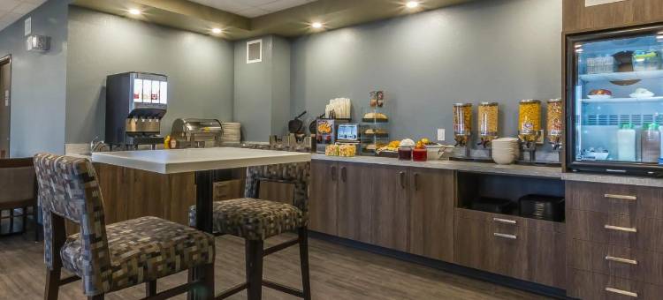 凯艺套房酒店(Quality Inn & Suites)图片