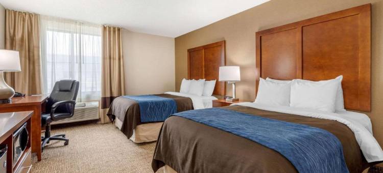 安德森南凯艺酒店(Comfort Inn Anderson South)图片