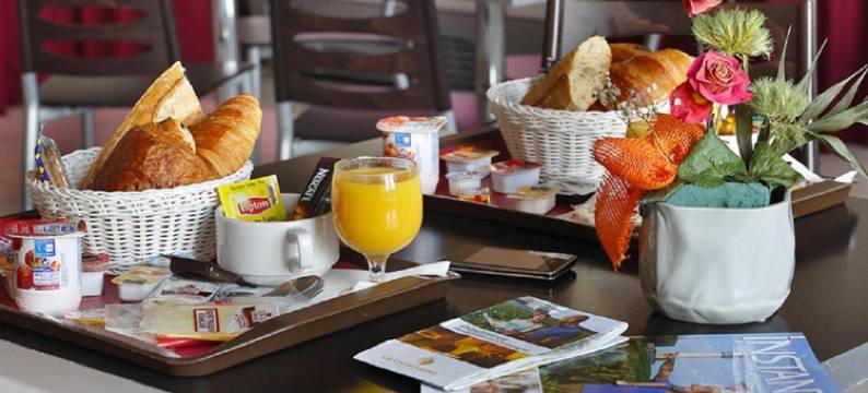 瓦坎希尔胜利舒适宅邸酒店(Vacancéole - les Demeures Champenoises Confort)图片