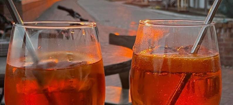 黄金安克尔旅馆(Pension Zum Goldenen Anker Direkt an der Elbe)图片