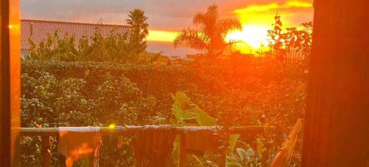 Casas da Quinta图片