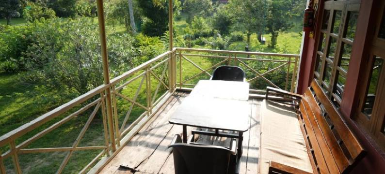 马斯纳古迪罗望子树酒店(Tamarind Tree Masinagudi)图片