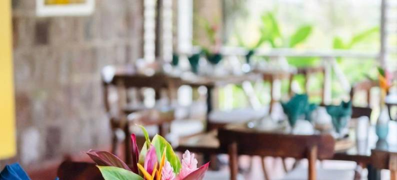 隐士尼维斯(Hermitage Nevis)图片