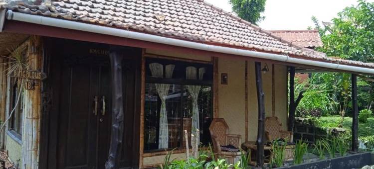 布罗莫旅游村布罗莫约斯基酒店(Yoschi's Hotel Bromo)图片