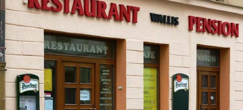 瓦利斯旅馆(Pension Wallis)图片