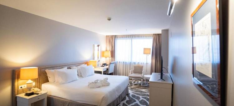 Holiday Inn 波尔图盖亚假日酒店(Holiday Inn Porto - Gaia)图片