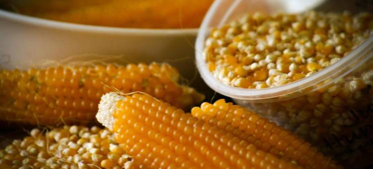 派罗亚家庭旅馆(Paeroa Bed and Breakfast)图片