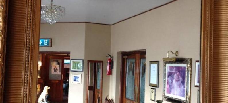 坦普尔莫尔阿姆斯酒店(Templemore Arms Hotel)图片