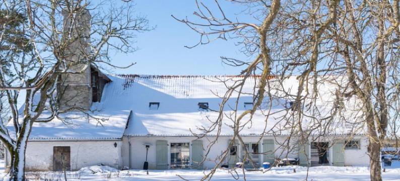 达恩豪斯旅馆(Dagen Haus Guesthouse)图片