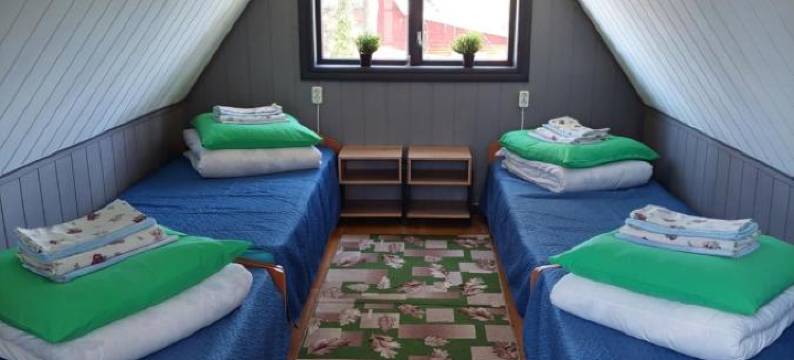 塞莱娜2003旅馆(Selena 2003)图片