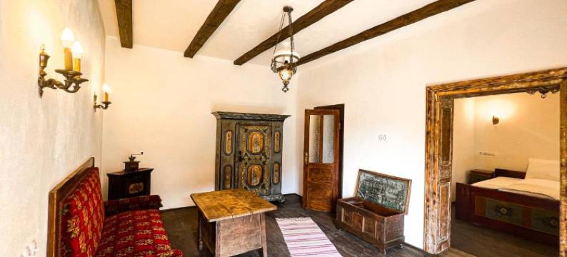 Castle View Saschiz - Traditional Guesthouse图片