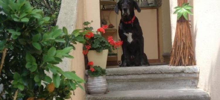 3 王旅馆酒店(Chambres d'Hôtes des 3 Rois)图片