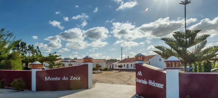 蒙地泽卡乡村民宿(Monte do Zeca)图片
