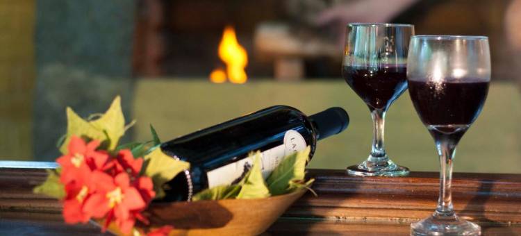 瓦莱多斯帕萨罗斯旅馆(Pousada Valle Dos Pássaros)图片