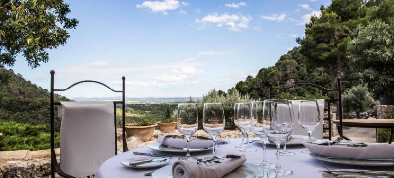 Finca Albellons庄园(Finca Albellons)图片