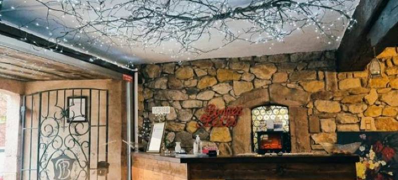 维涅摇篮酒店(Hôtel Berceau du Vigneron)图片