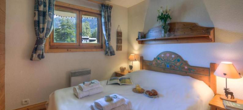 Appartement Bellachat 10 Ski in-Ski Out - Happy Rentals图片