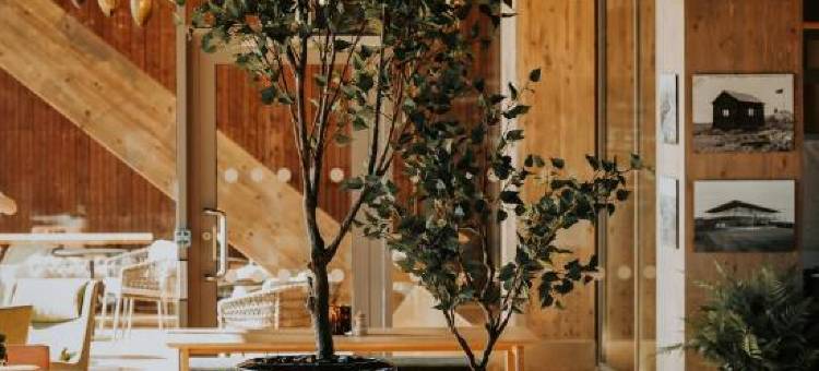 博多木酒店(Wood Hotel Bodø)图片