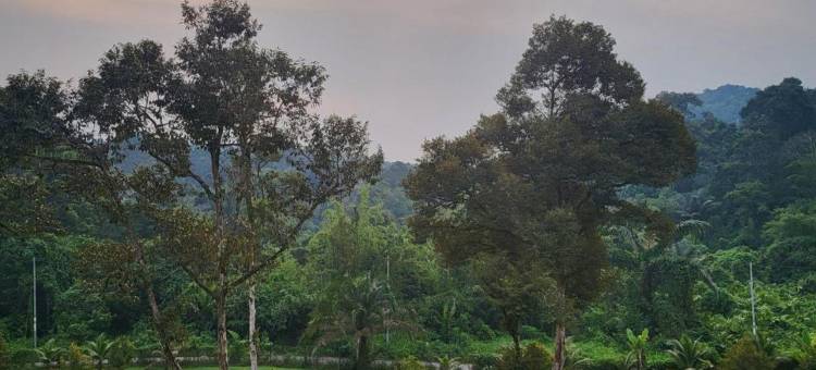 竹苑与榴莲度假农庄(Bamboo Villa & Durian-Retreat FarmStay)图片