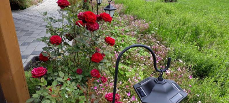 勒法特私人住宅(Private Home Rifat)图片