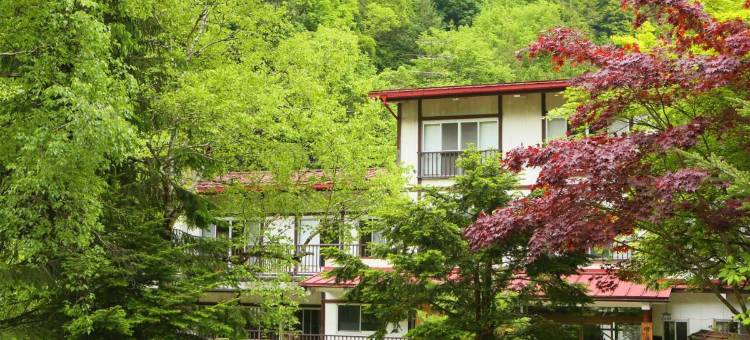 明治温泉旅馆(Yama No Yado Meiji Onsen)图片