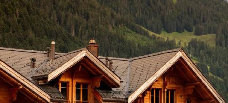 瓦洛斯餐厅酒店(Hotel-Restaurant Valrose)图片