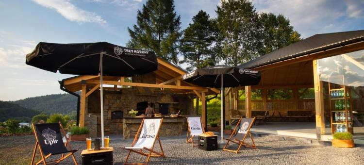 贝斯基德温泉医疗度假村&SPA(Hotel Beskid Balneo Medical Resort & Spa)图片