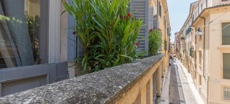 卡莫齐尼宫雷亚尔迪套房(Corte Realdi - Palazzo Camozzini)图片