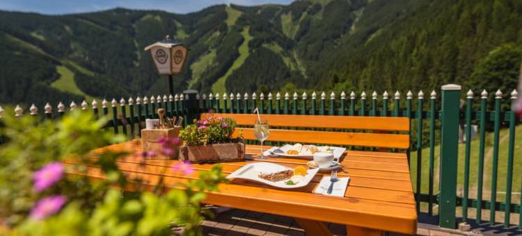 扎加阿姆山地酒店(Berghotel Jaga-Alm)图片