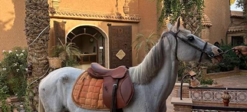 里亚德纳尼伊内斯酒店(Riad Jnane Ines)图片