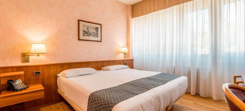 瓦雷泽水晶酒店(Crystal Hotel Varese)图片