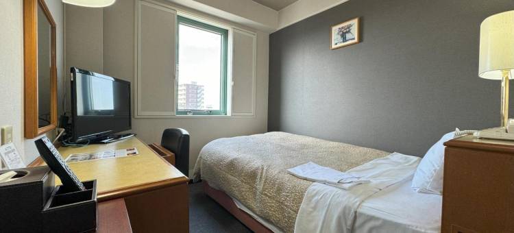 松阪Ace Inn酒店(Ace Inn Matsusaka)图片