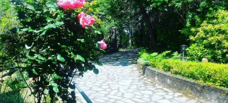 B&B le Camelie del Bosco图片