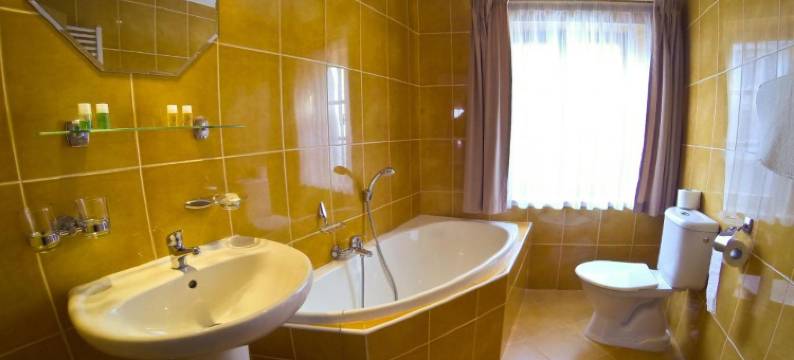 兹拉塔斯特奥普酒店(Hotel Zlatá Stoupa)图片