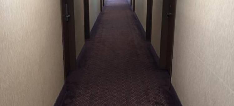 帕迪尤卡温德姆呗盟套房酒店(Baymont by Wyndham Paducah)图片