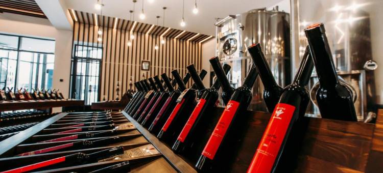 博塔卡卡西亚卡兹贝吉旅馆(Porta Caucasia Kazbegi)图片