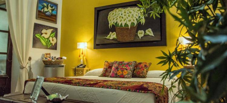 泰特卡索娜酒店(La Casona de Tete)图片