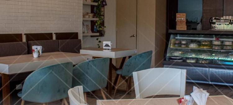 科特佩圣何塞广场酒店(Hotel San José Plaza Coatepec)图片