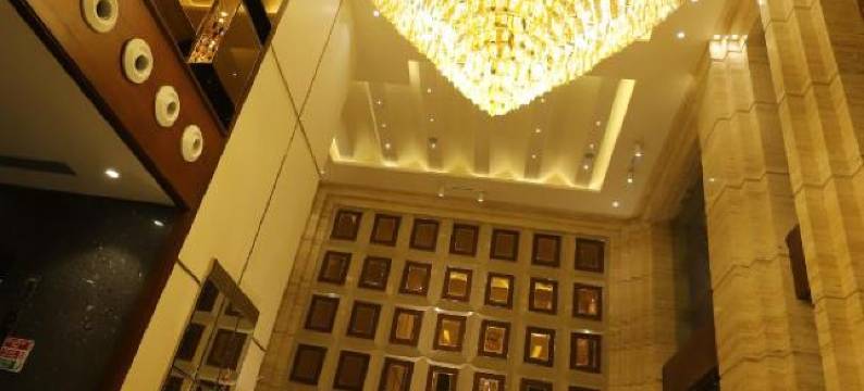 质朴酒店(The Pristine Hotel)图片