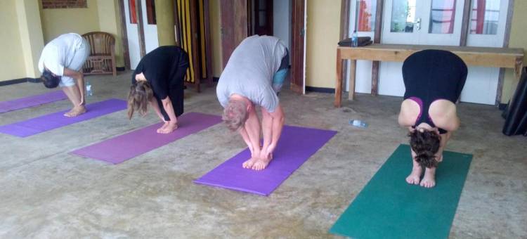 艾席里之瑜珈度假屋(Asiri Yoga Retreat)图片