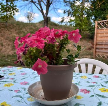 Agriturismo Collamato Hotel Overview