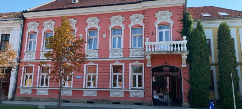 Pensiunea Korona and Restaurant图片