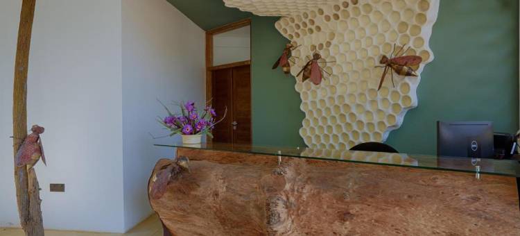 氧云山居·雅拉(O2 Villas Yala)图片