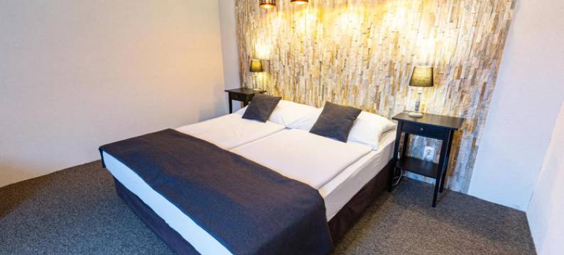 Penzion Zlaty Orol图片