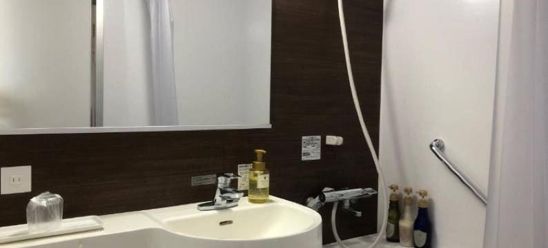 柏崎Alpha-1酒店(Hotel Alpha-One Kashiwazaki)图片