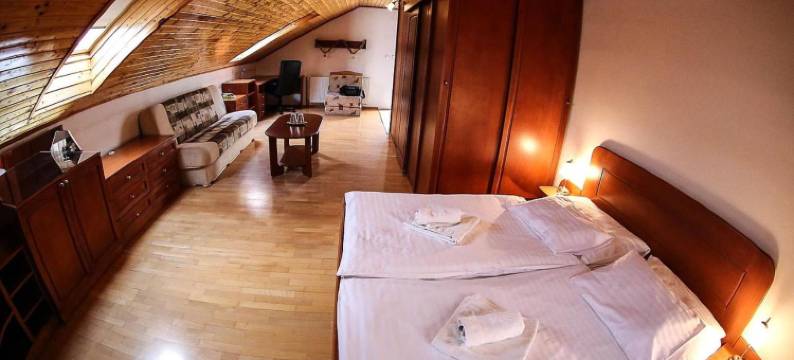 圣弗洛蓝什突勒沃酒店(Hotel St.Florian Sturovo)图片