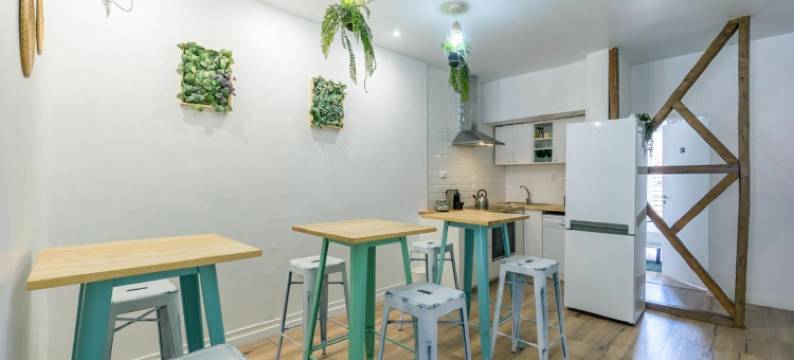 彩色旅舍(The Color Hostel)图片