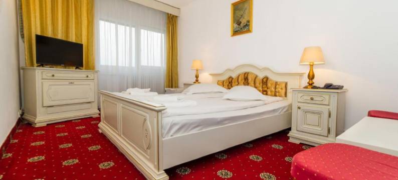 罗马尼勒伊姆帕拉图塞塔特酒店(Hotel Cetate)图片