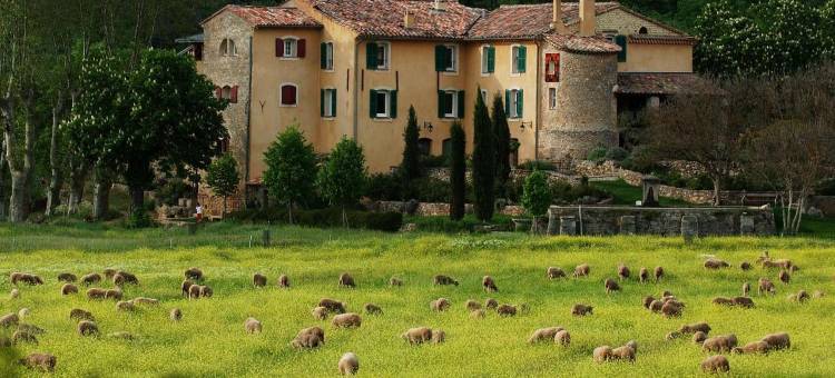 康帕涅普罗旺斯旅馆(Une Campagne En Provence)图片